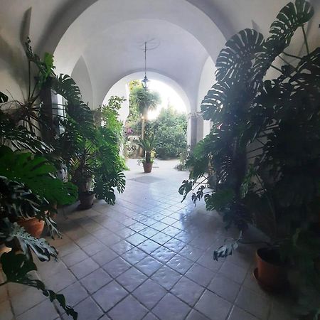 La Casa Delle Camelie Hotel Meta Exterior photo